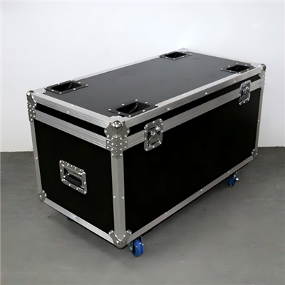 비행 케이스의 이름은 무엇입니까?